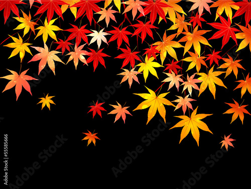 もみじ　紅葉　背景