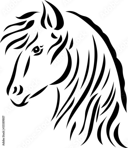 masterfitness-pony