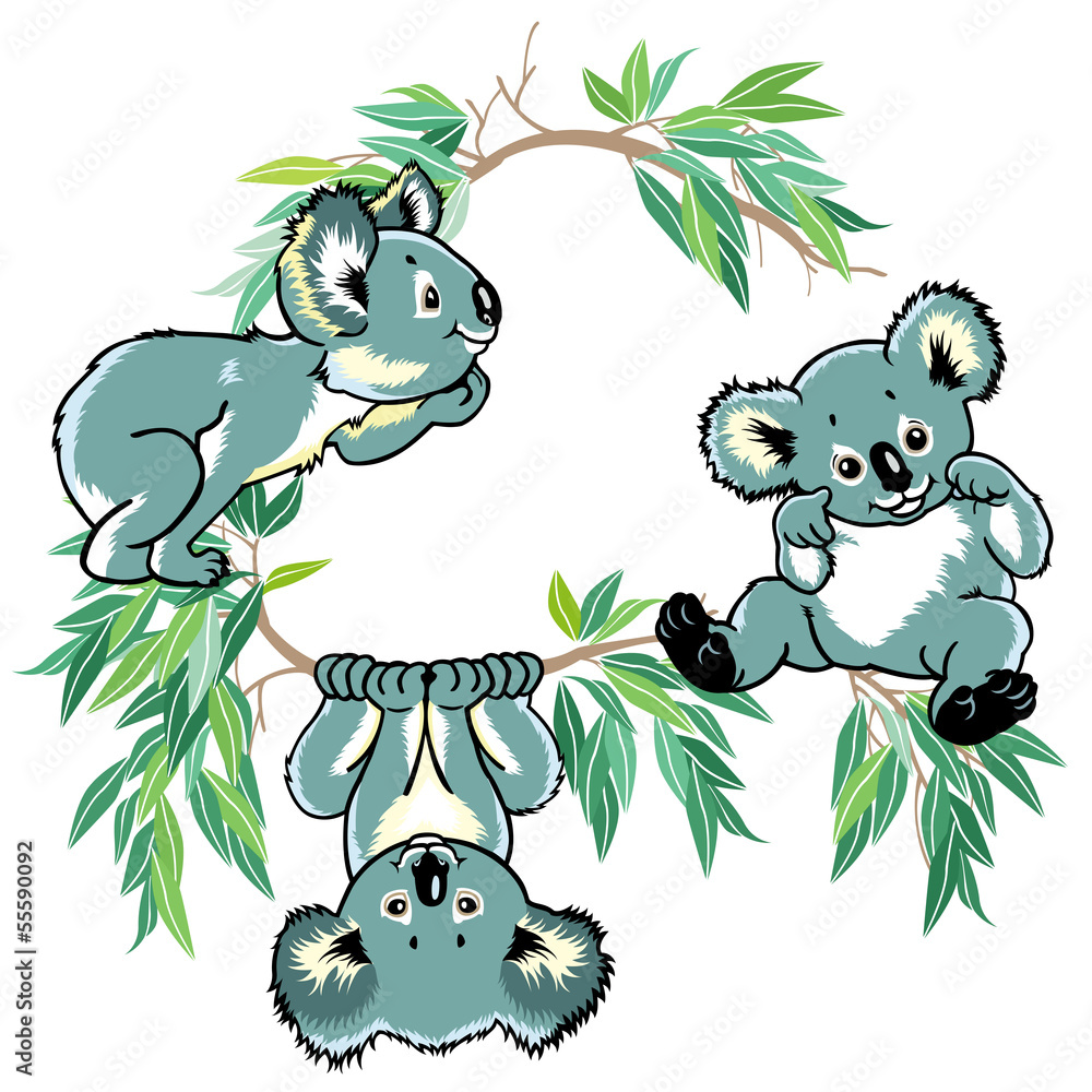Naklejka premium cartoon koala bears