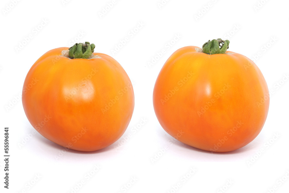 tomate ancienne karotina tomate ancienne karotina