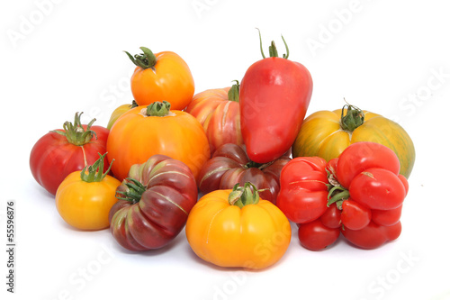 tomates vari  t  s anciennes