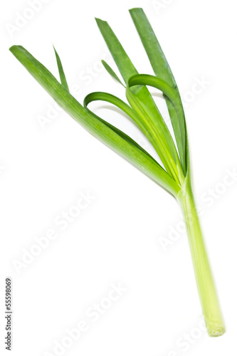 Wallpaper Mural Vegetable Torontodigital.ca