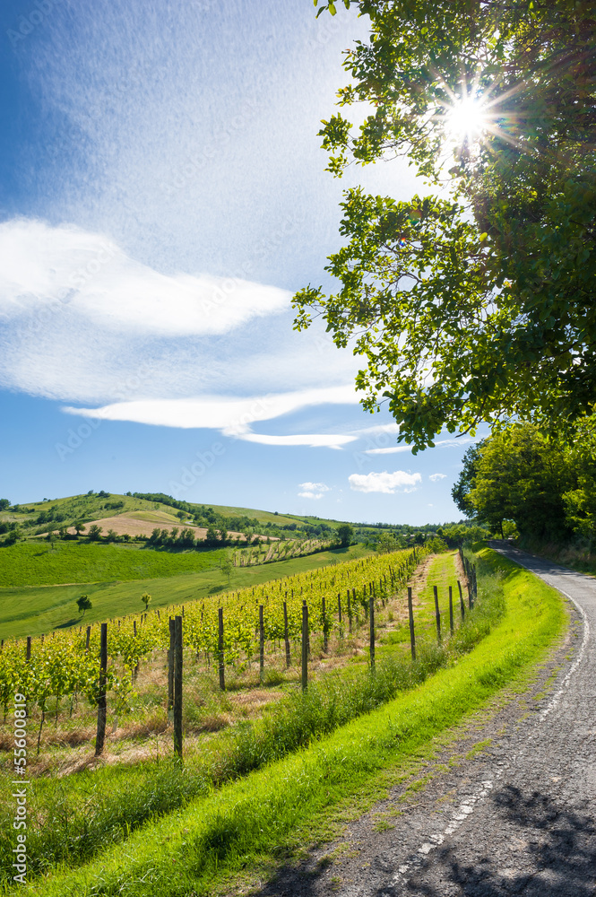 Obraz premium Sole nascosto