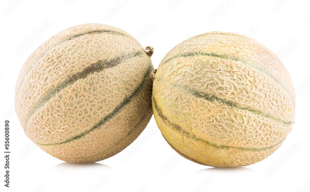 cantaloupe melons isolated on white background cantaloupe melons isolated on white background