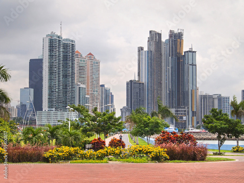 Panama City skyscraper and flowers