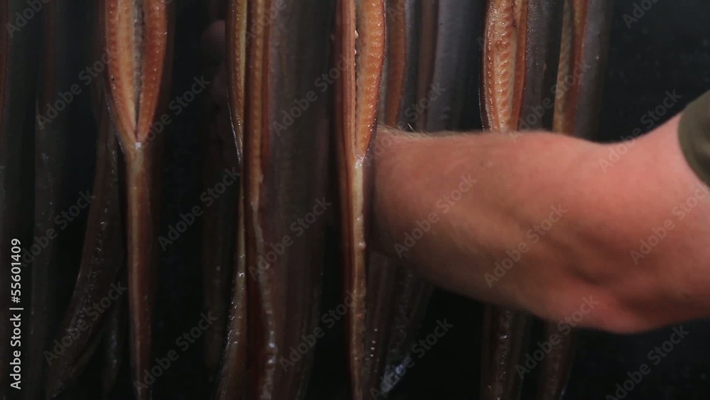 Fischer testet Aale im Räucherofen