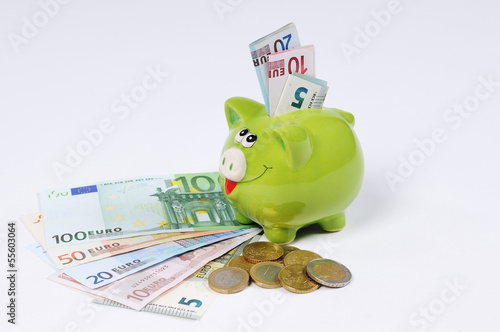 Sparschwein mit Euro Scheinen und Euro Münzen