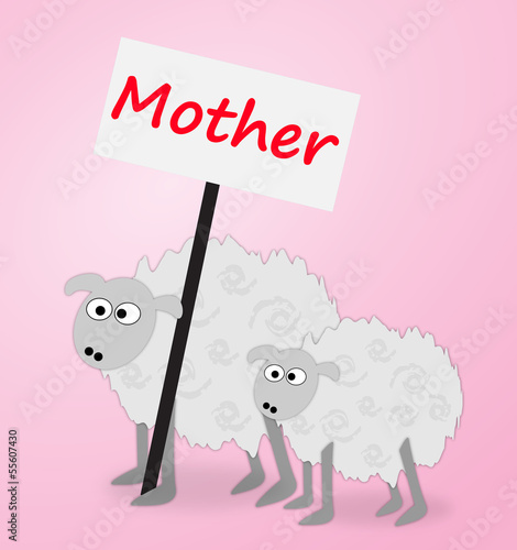 Animal rights