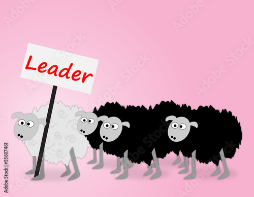 Leadership