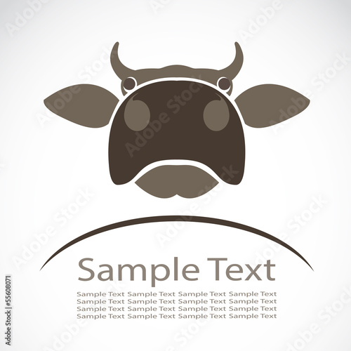Vector of an cow head on white background. Animal.