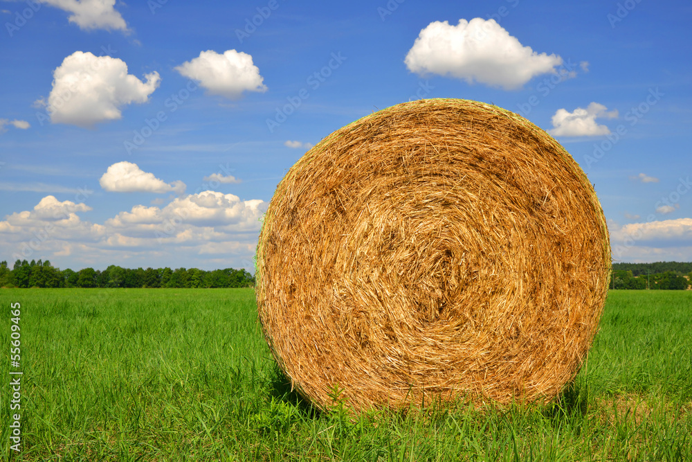 straw bale in a lush green field and blue sky straw bale in a lush green field and blue sky