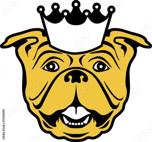 masterfitness-bulldogge