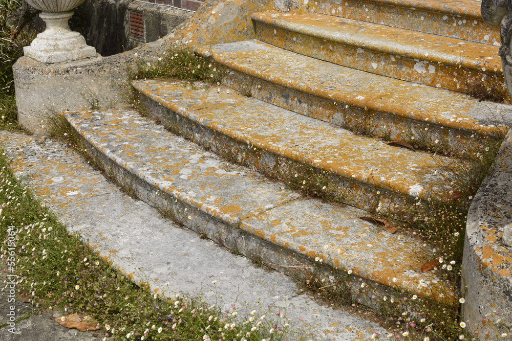 Steps to English mansion with litchen Steps to English mansion with litchen