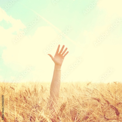 hand sticking out of wheat field