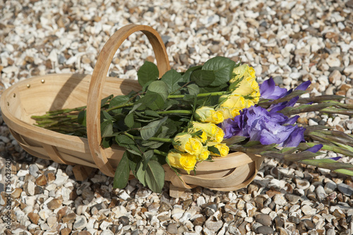 Wooden garden trug and freshly picked flowers photo