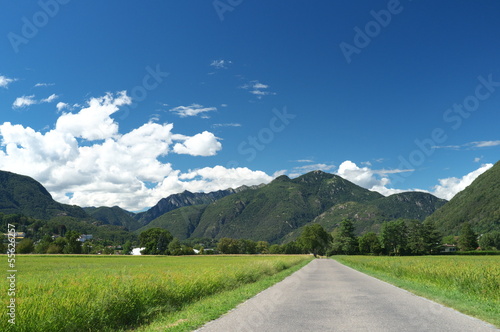 Asphalt road through the fields