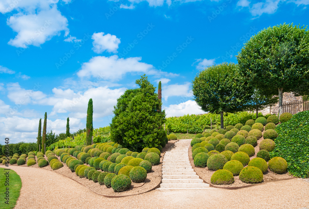 Garden of Amboise Castle, France