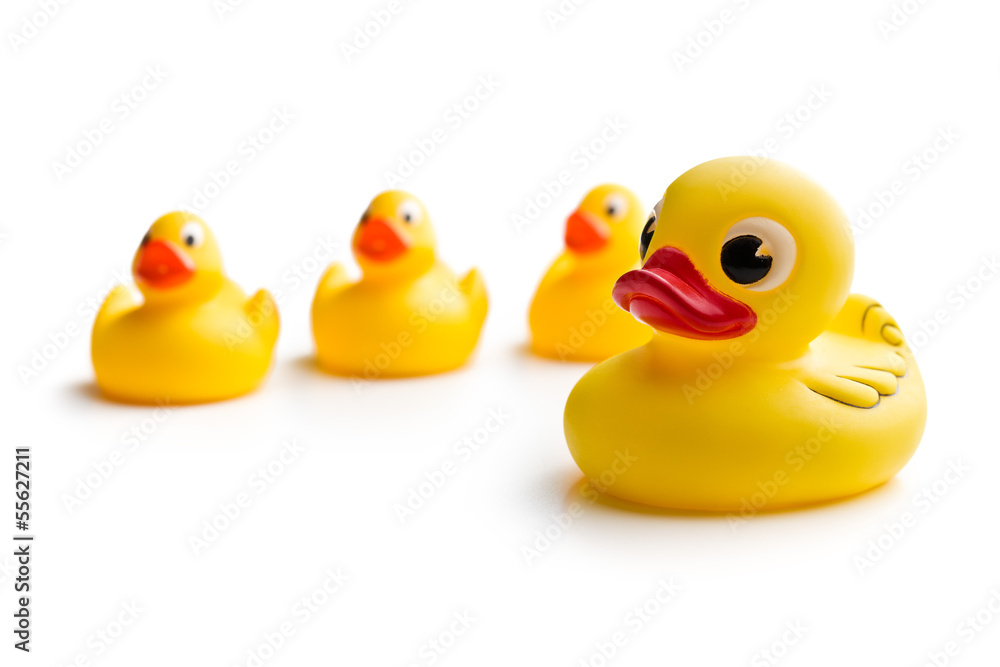 yellow bath ducks yellow bath ducks
