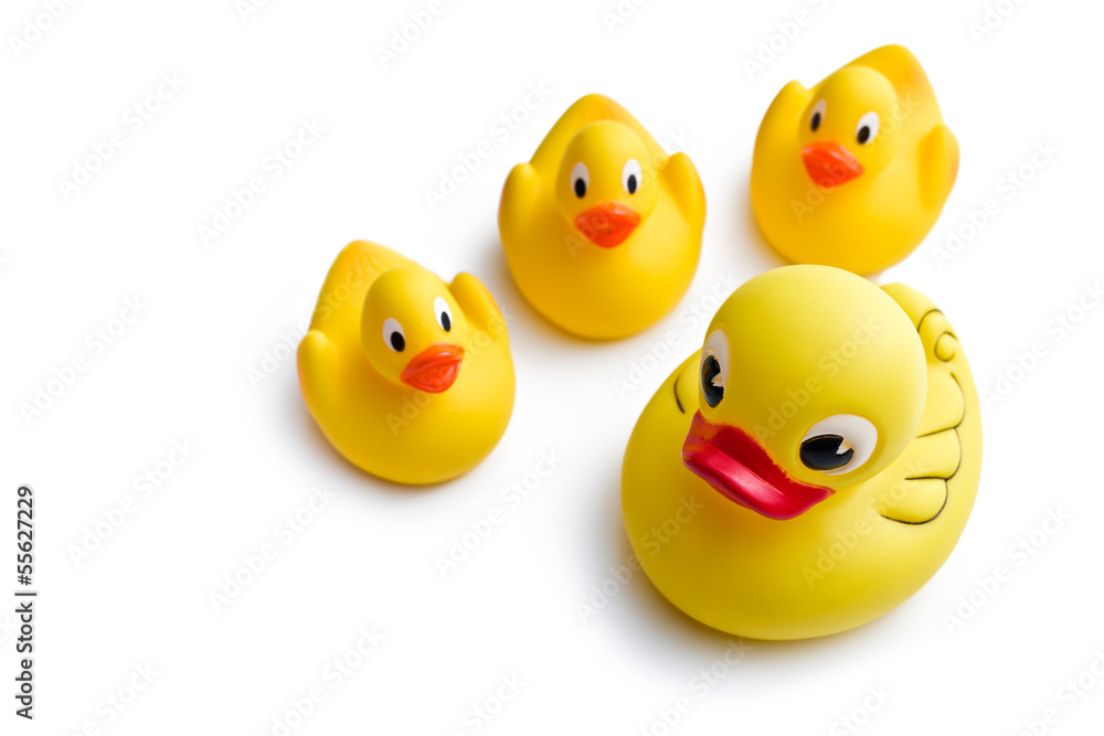 yellow bath ducks yellow bath ducks