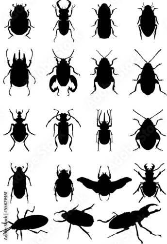 bugs silhouette