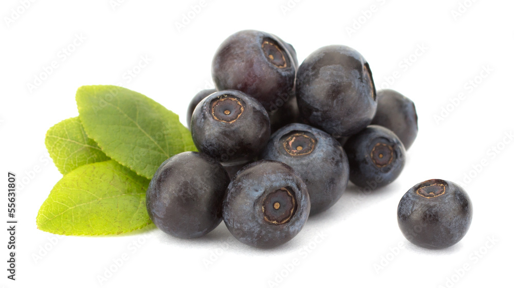 Fresh blueberries isolated on white background Fresh blueberries isolated on white background