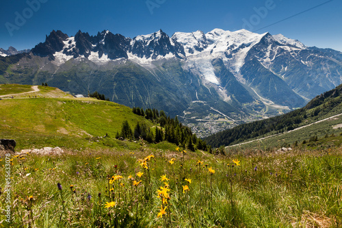 Chamonix Panorama