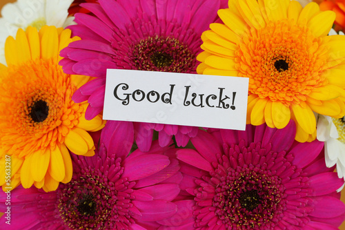 Good luck card with colorful gerberas