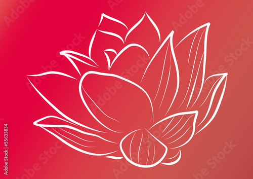 Lotus vector