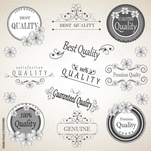 Calligraphic design elements and page decoration