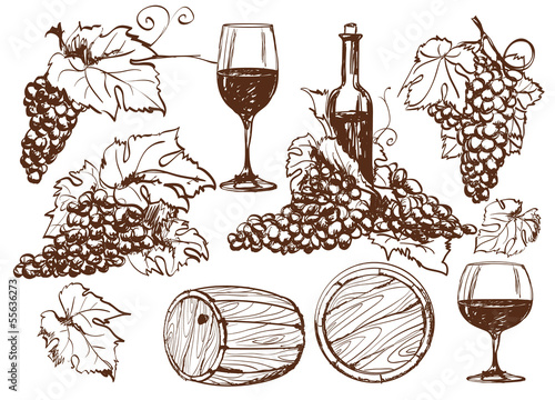 Vector winery design elements set.