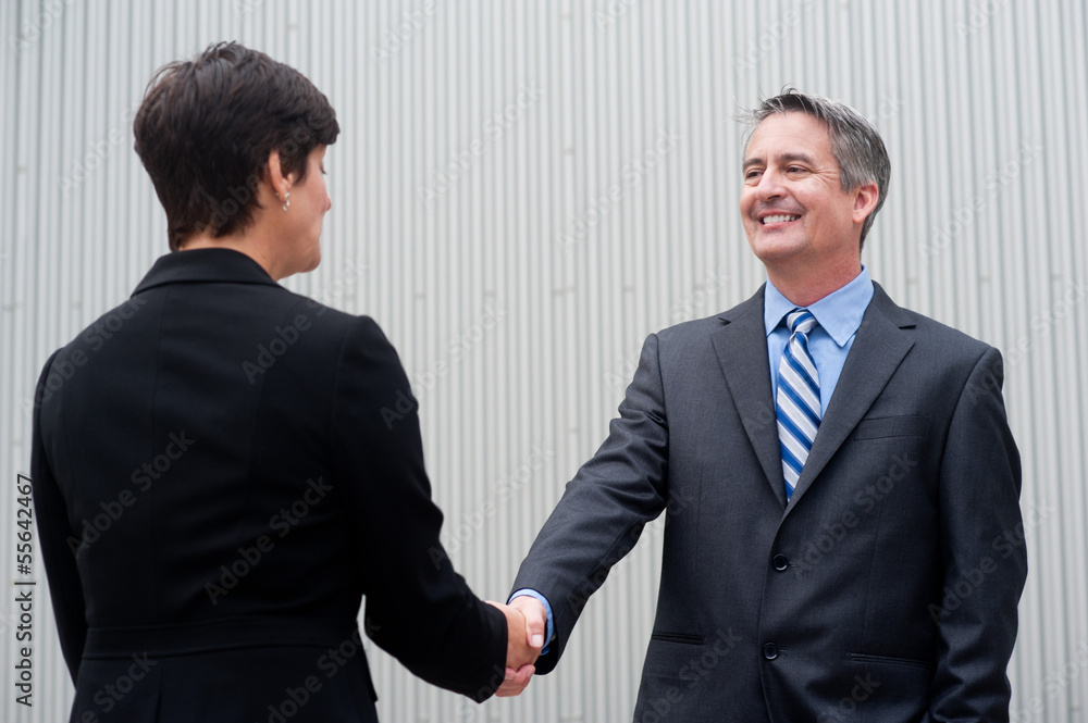 Businesswoman shaking hands with businessman Businesswoman shaking hands with businessman
