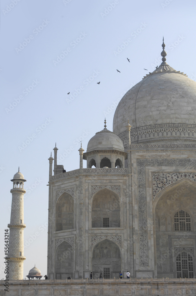 Fototapeta premium Taj Mahal, Agra, India
