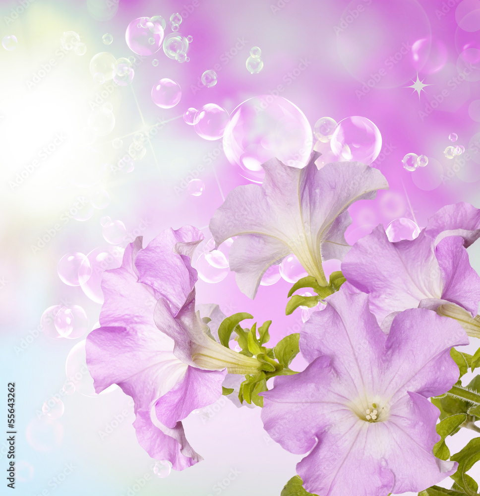 Beautiful flowers spring garden background Beautiful flowers spring garden background