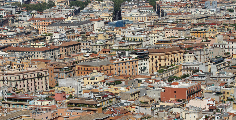 Aerial view of houses in the metropolis