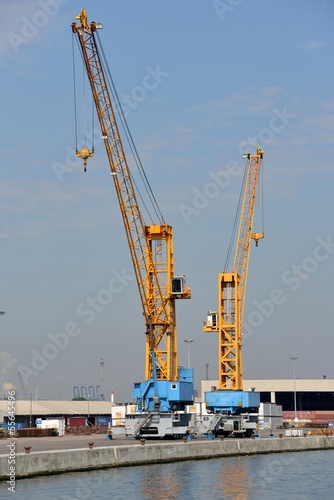Two cranes at the harbor