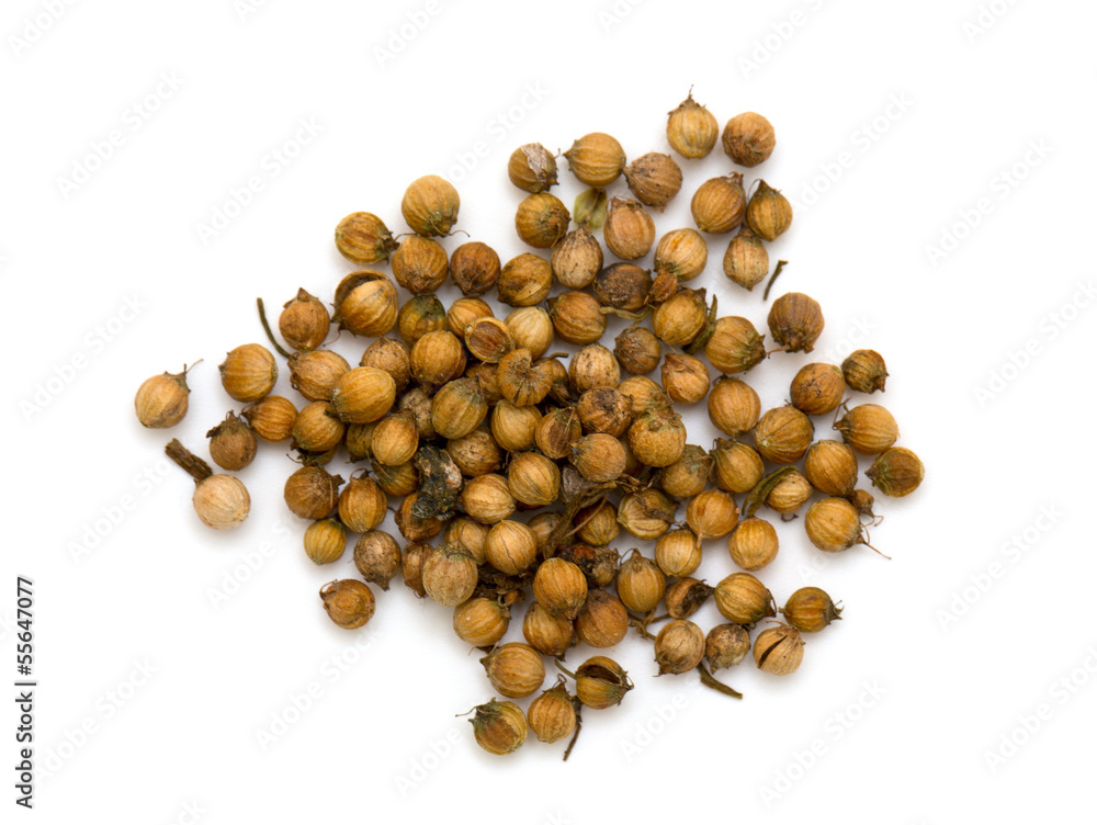 coriander seeds isolated on white coriander seeds isolated on white