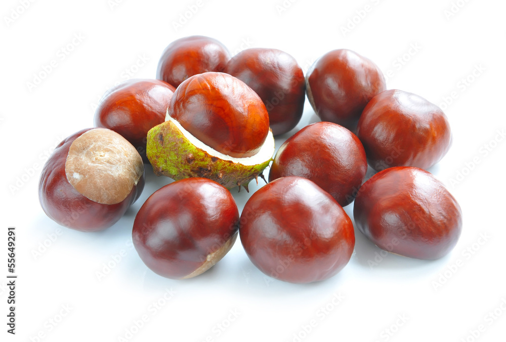 Chestnuts with crust on a white background Chestnuts with crust on a white background