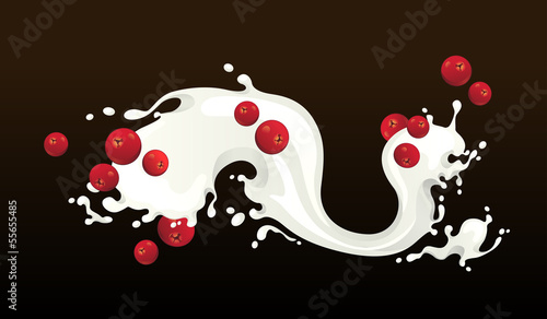 Milk splash with cranberries on black background.