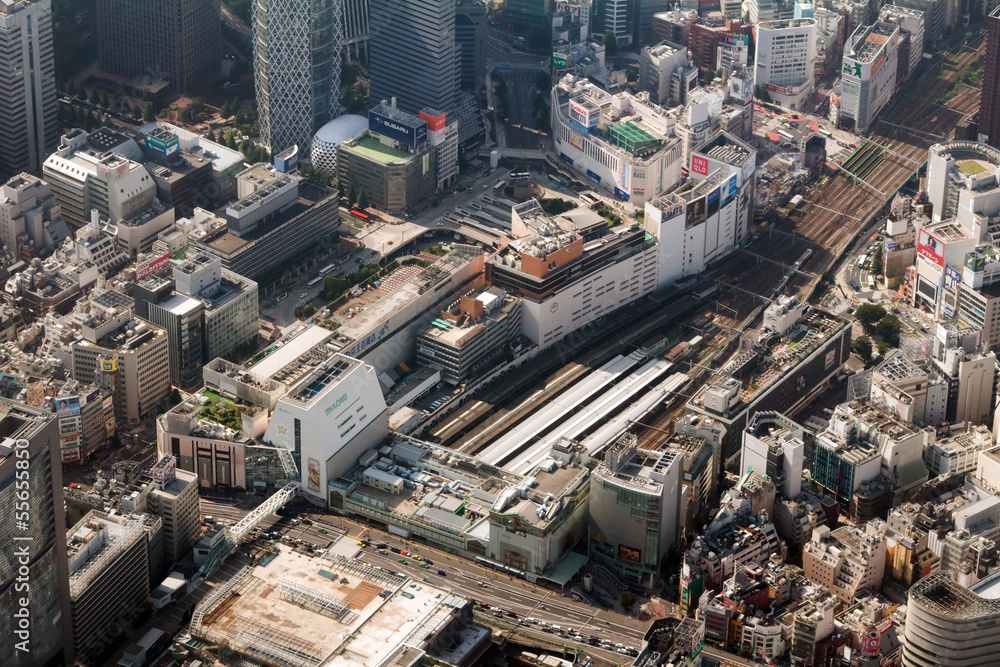 Obraz premium 新宿駅を空撮