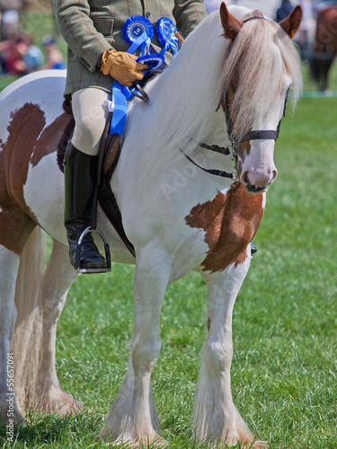 Winners of First Prize in an Equestrian Event photo