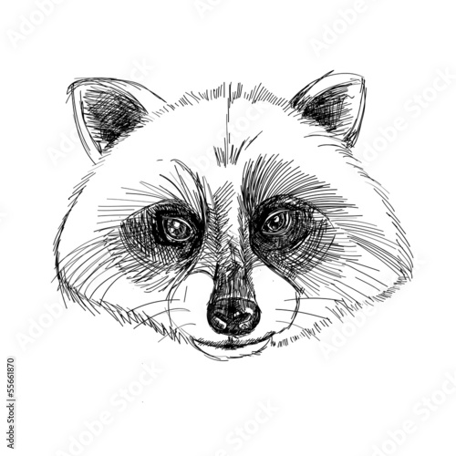 Handmade vector illustration of raccoon head