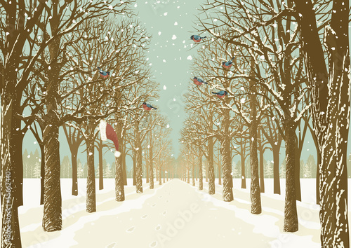 Prospect of the alley in a park with various trees