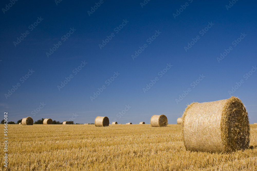 Fototapeta premium Hay bales, Idyllic rural landscape.