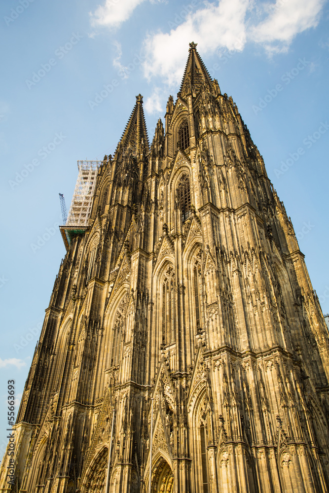 Cathedral of Cologne.