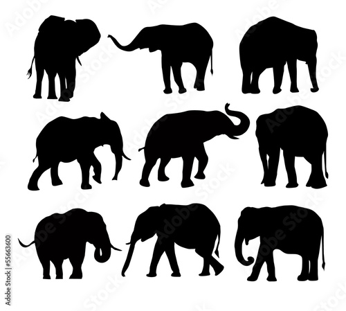 elephants silhouette