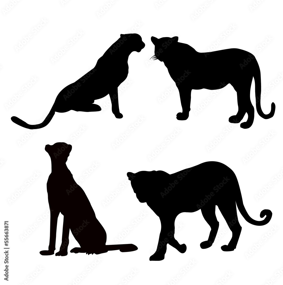 Naklejka premium leopard silhouette