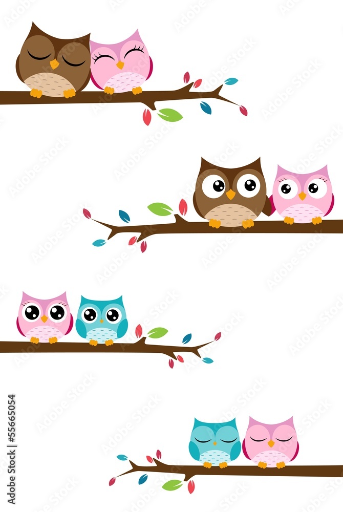 Obraz premium couples of owls sitting on branches