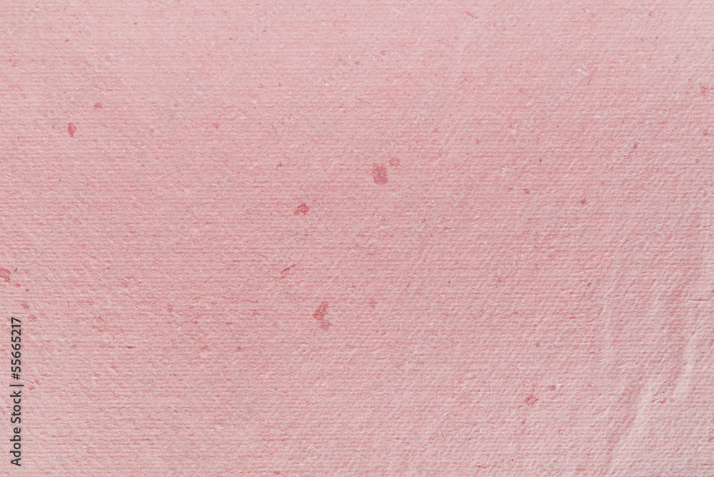 Fototapeta premium papyrus paper texture background