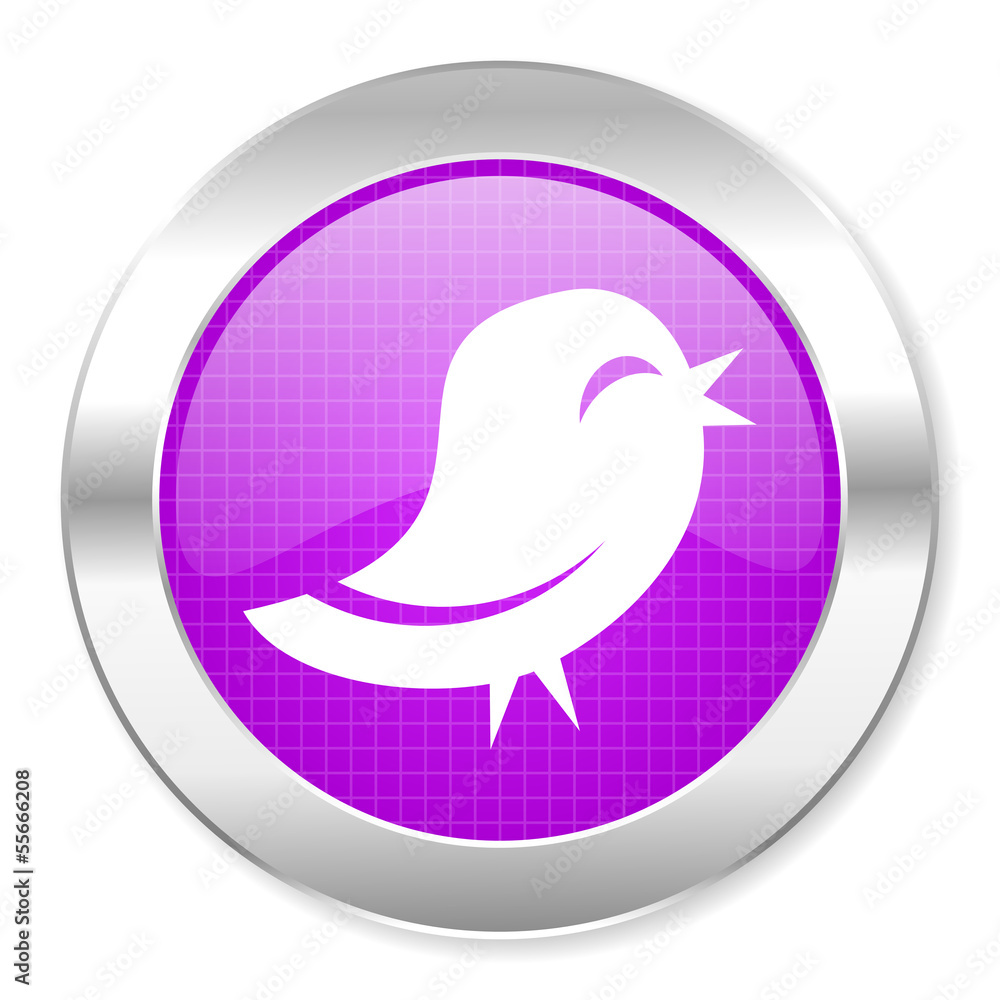 twitter icon twitter icon