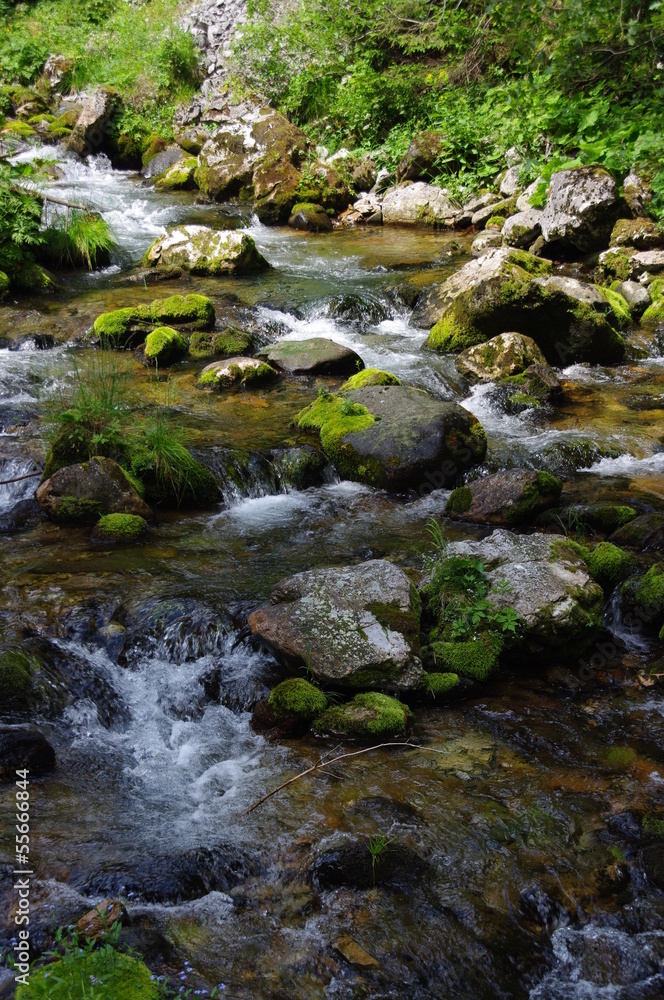 Stream Stream
